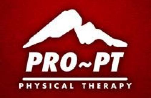 Pro PT Logo