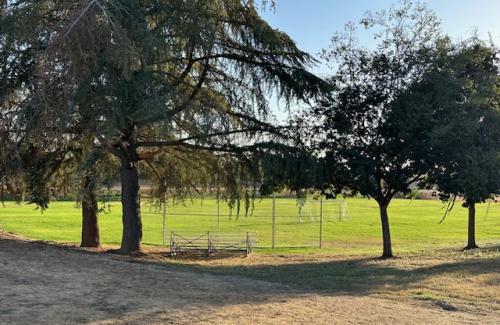 Park Rentals