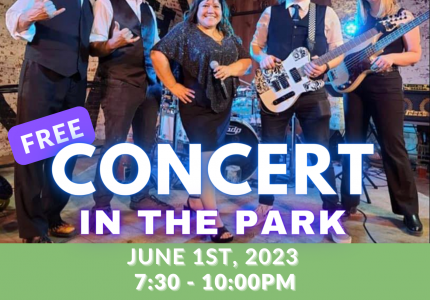 CONCERT IN THE PARK