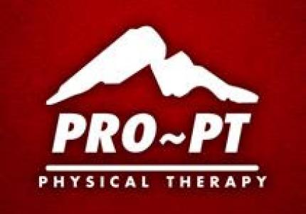 Pro PT Logo