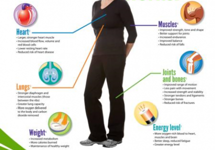 Wellness Logo