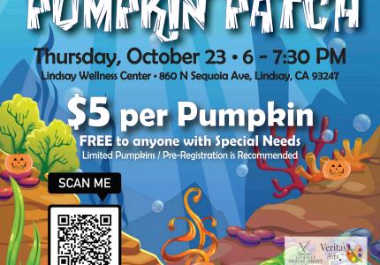 Float Pumpkin Patch