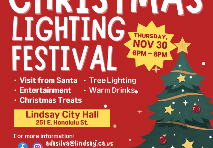 Tree Lighting
