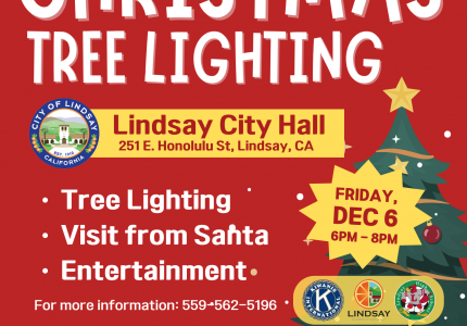 Christmas Tree Lighting 2024