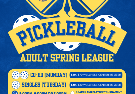 Pickleball League FLyer