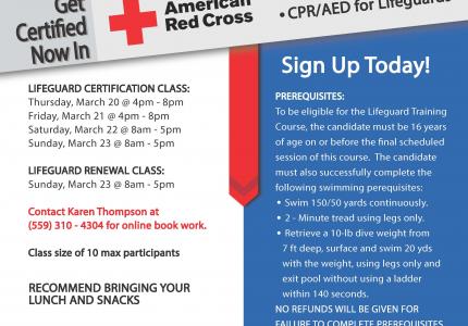 Lifeguard Classes in March