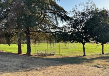 Park Rentals