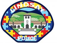 Autism Awareness Patch 002