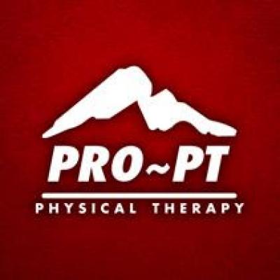 Pro PT Logo