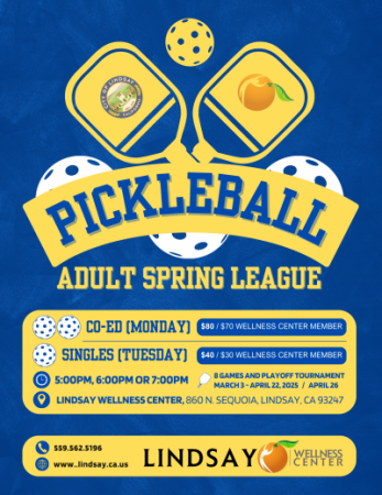 Pickleball League FLyer