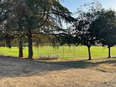 Park Rentals