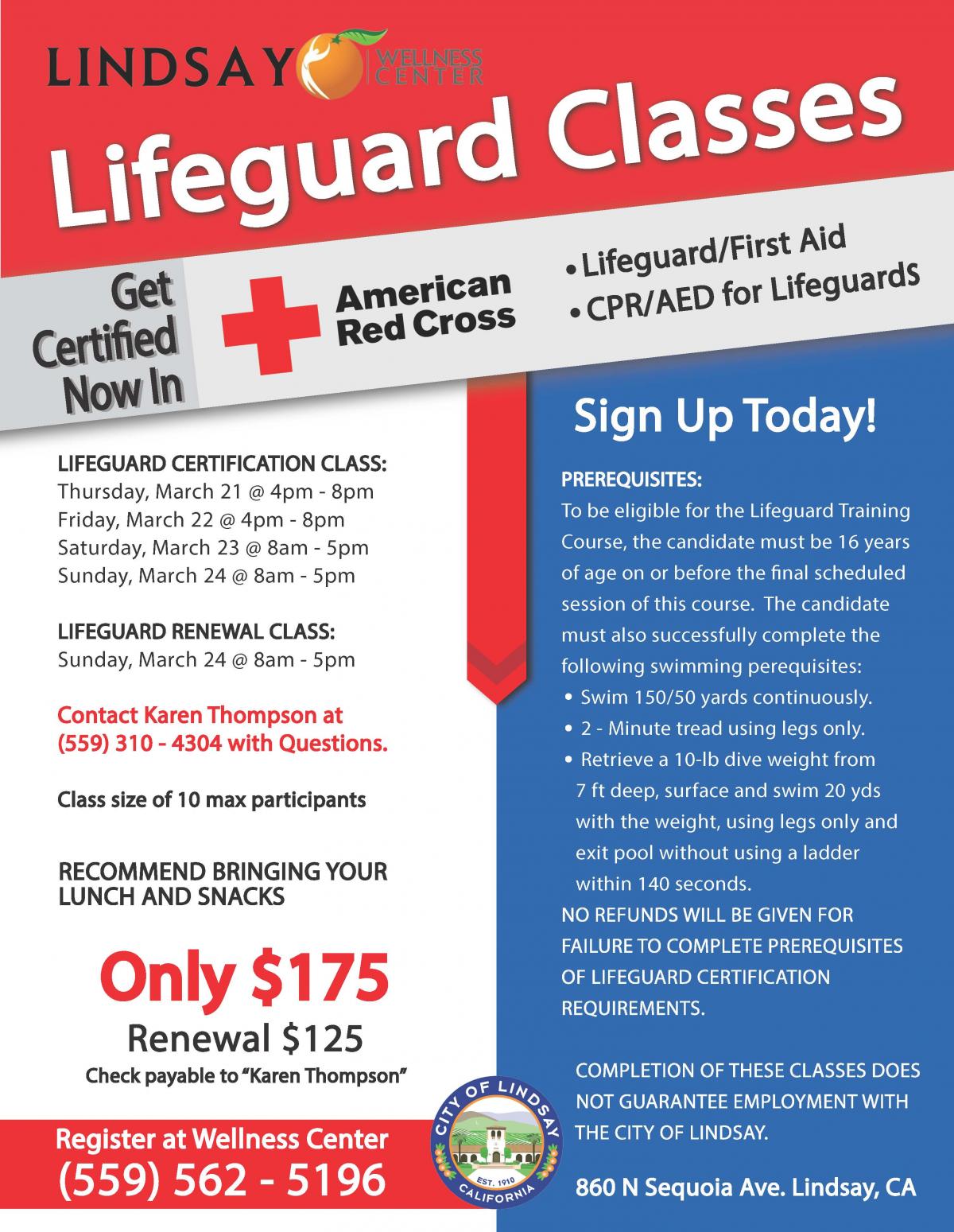 Lifeguard Classes Flyer