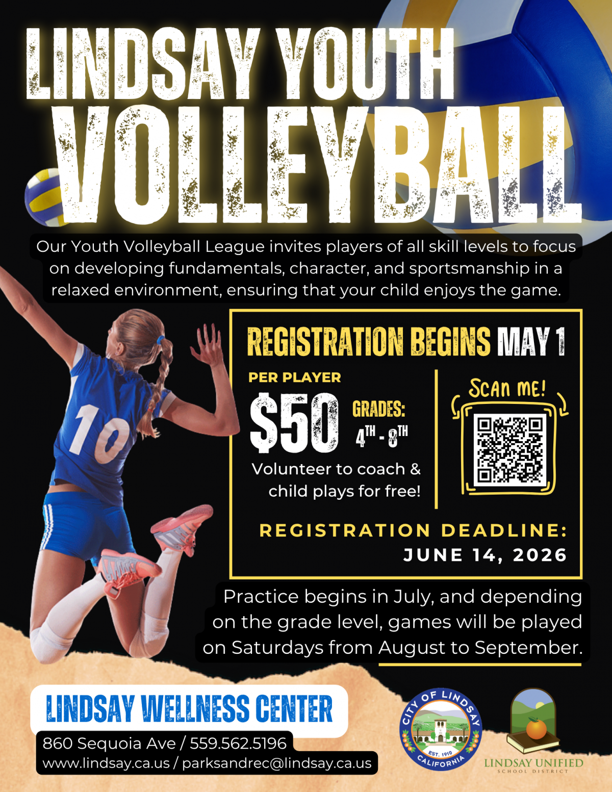 Volleyball Flyer with info